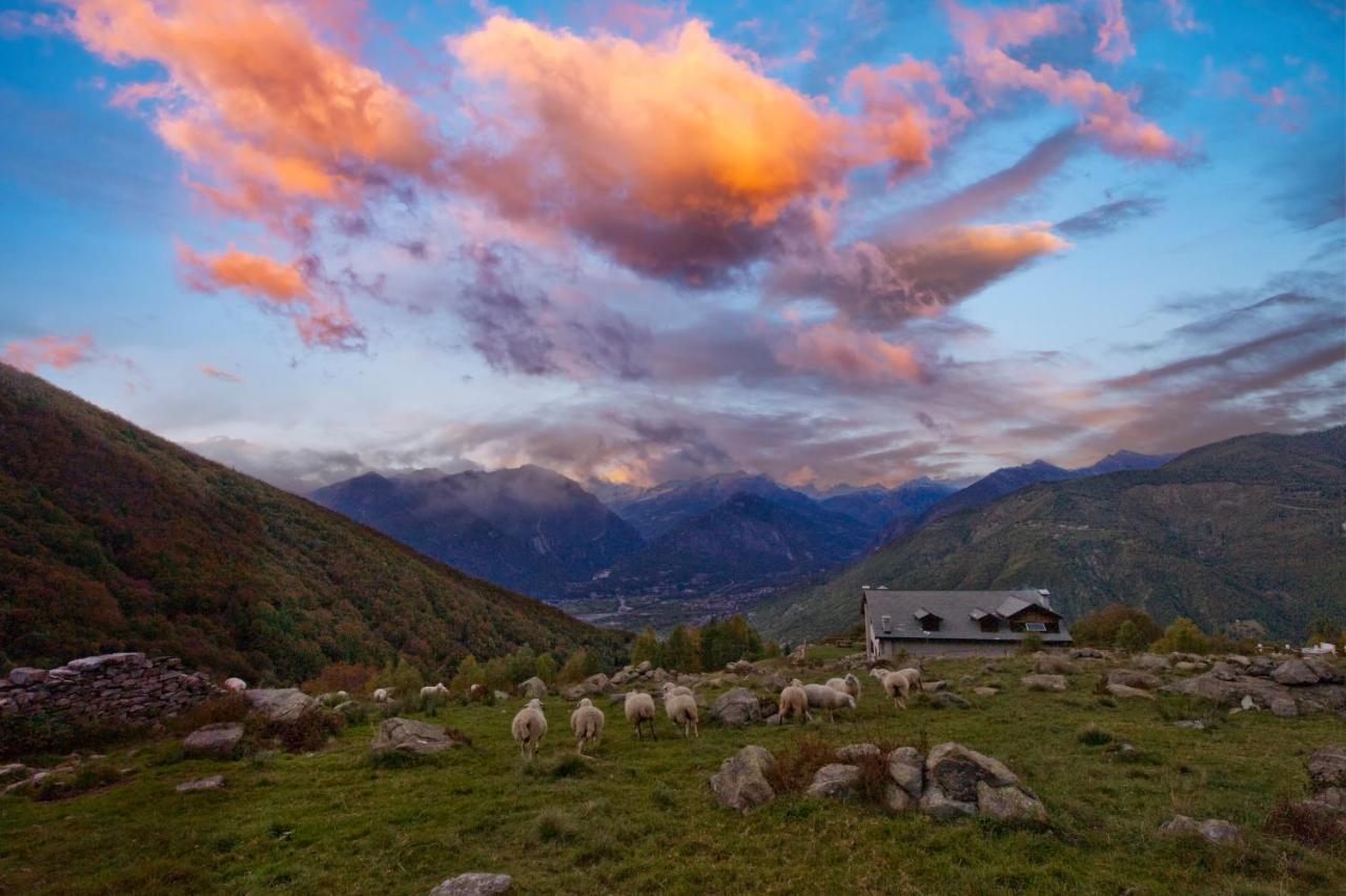 Rifugio Parpinasca Vandrarhem Trontano Exteriör bild